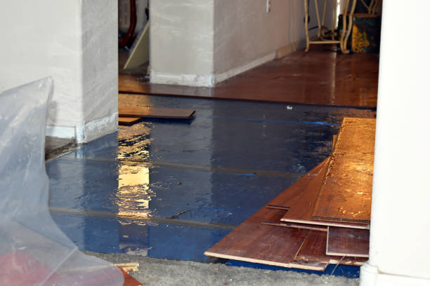 Professional Flood Damage Repair technician working in Milan, IN